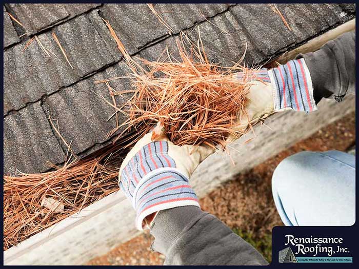 Gutter Cleaning What To You Need To Know