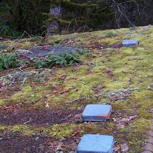 Spring Cleaning Your Roof