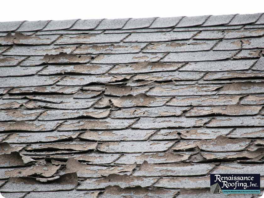 Why Do Asphalt Shingles Curl