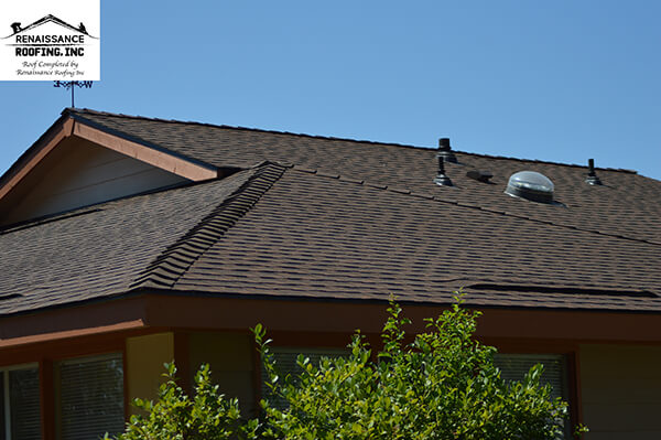 House Roof Shingles