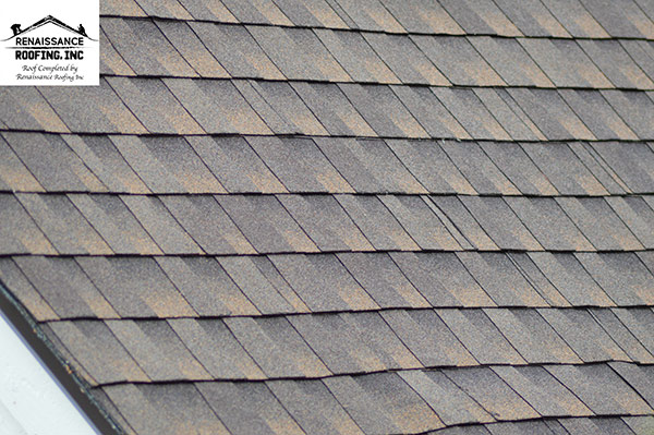 Roof Tile Options