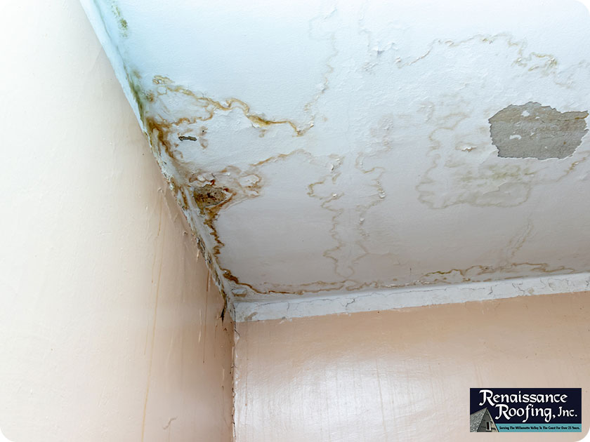 Signs You Need Emergency Roof Leak Repair